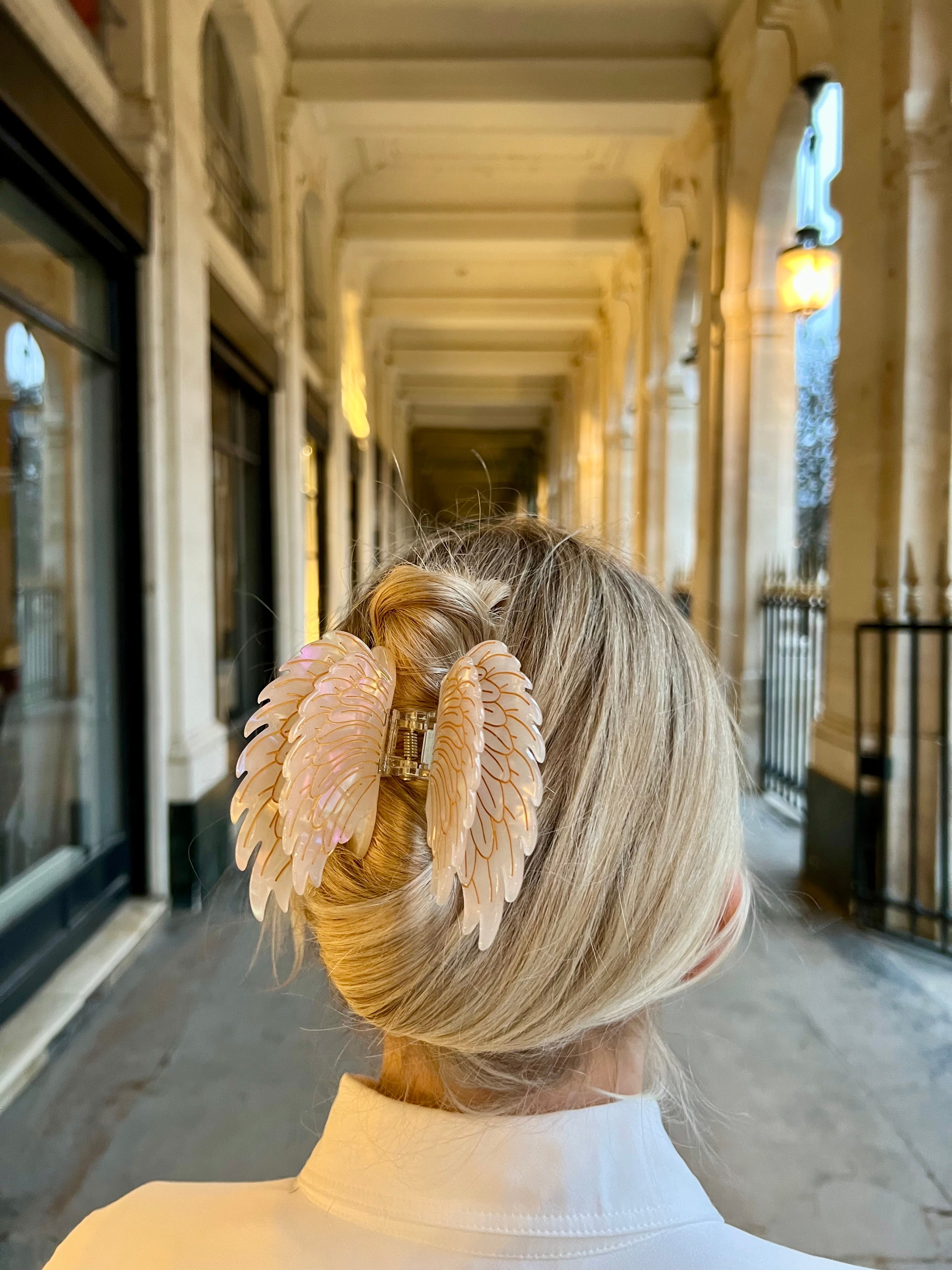 Solar Eclipse Hand-Painted Angel Wings Claw Hair Clip